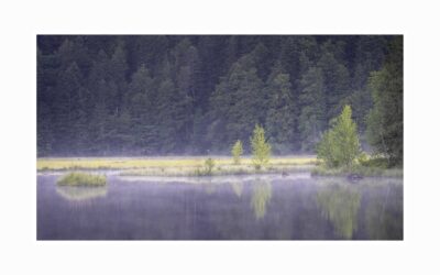 7 raisons pour s&rsquo;abonner à la newsletter du photographe