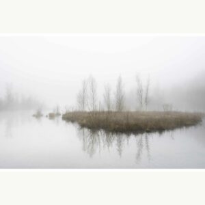 "Evanescence" est une photographie de l'étang de la Tourbe à Boves (80) par temps brumeux.