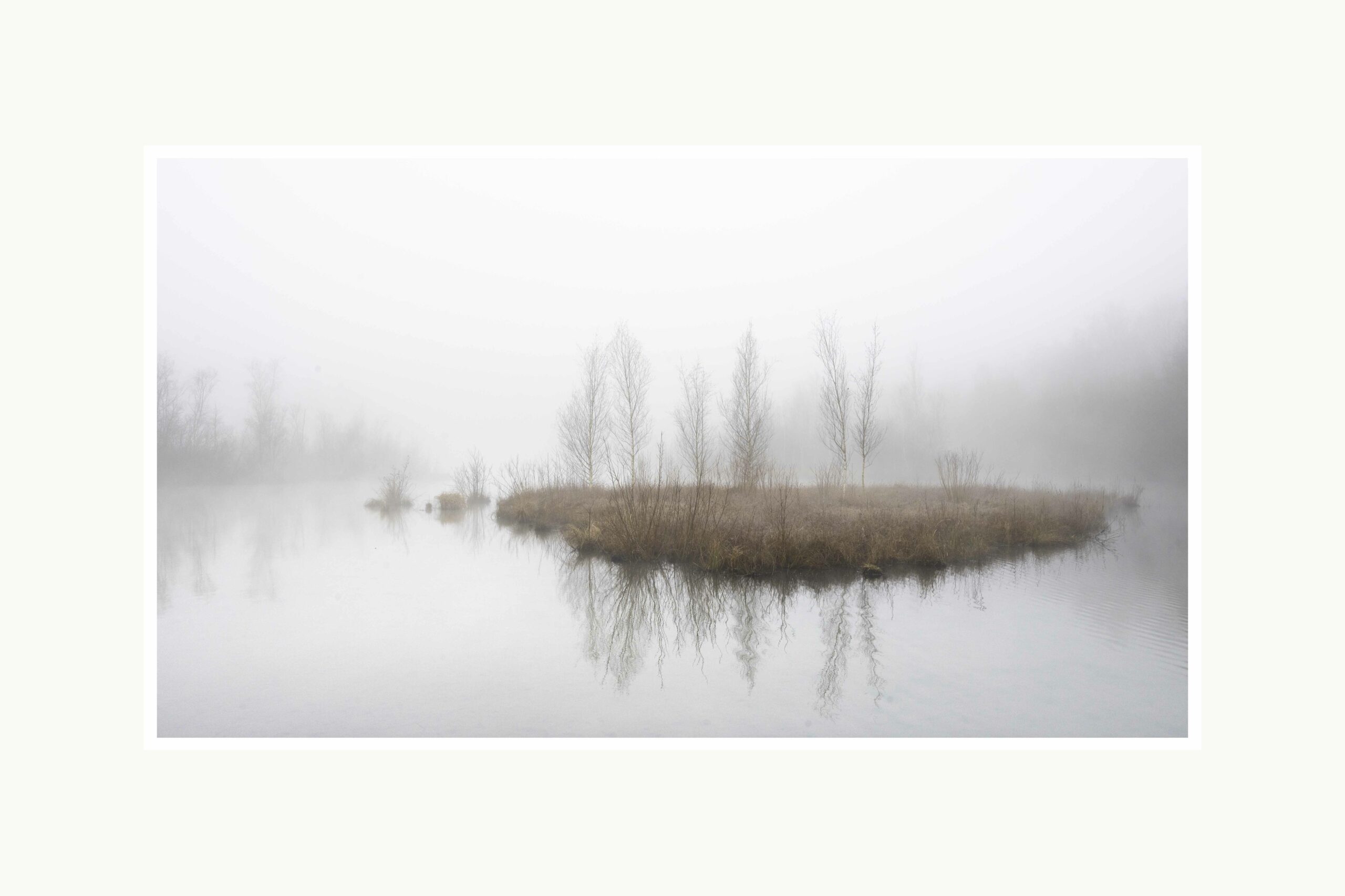 "Evanescence" est une photographie de l'étang de la Tourbe à Boves (80) par temps brumeux.