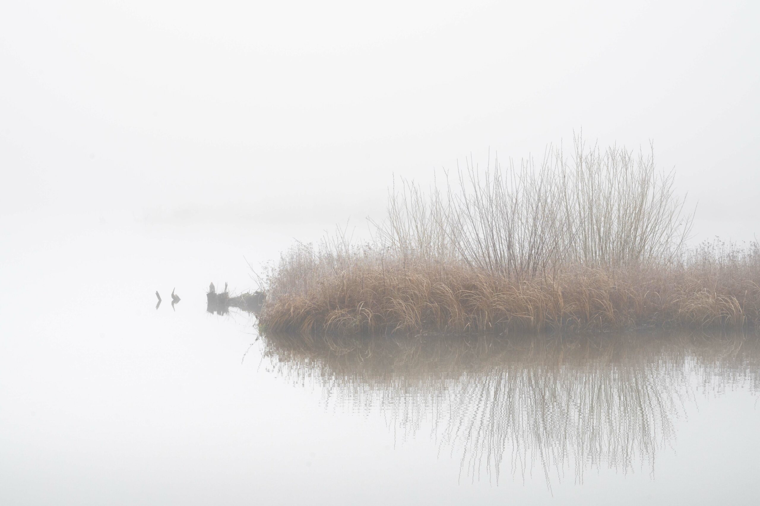 Photographie minimaliste d'un étang à Boves( 80) . le temps brumeux a rendu cette ambiance à l'origine du titre "Evanescence 2"