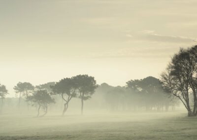 phootgraphie d'un golf des Hauts-de-France par un matin brumeux