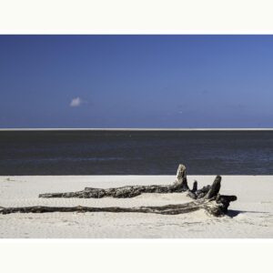 Photographie de bois flotté sur les rives de la baie d'Authie- Proposée en tirage d'art