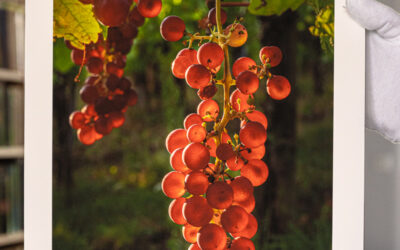 Le plaisir d’un beau tirage photo