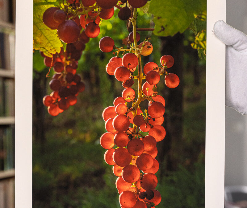 Le plaisir d&rsquo;un  beau tirage photo