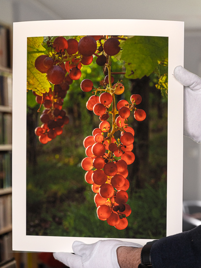 BP-01042023-_DSC3225-Mod