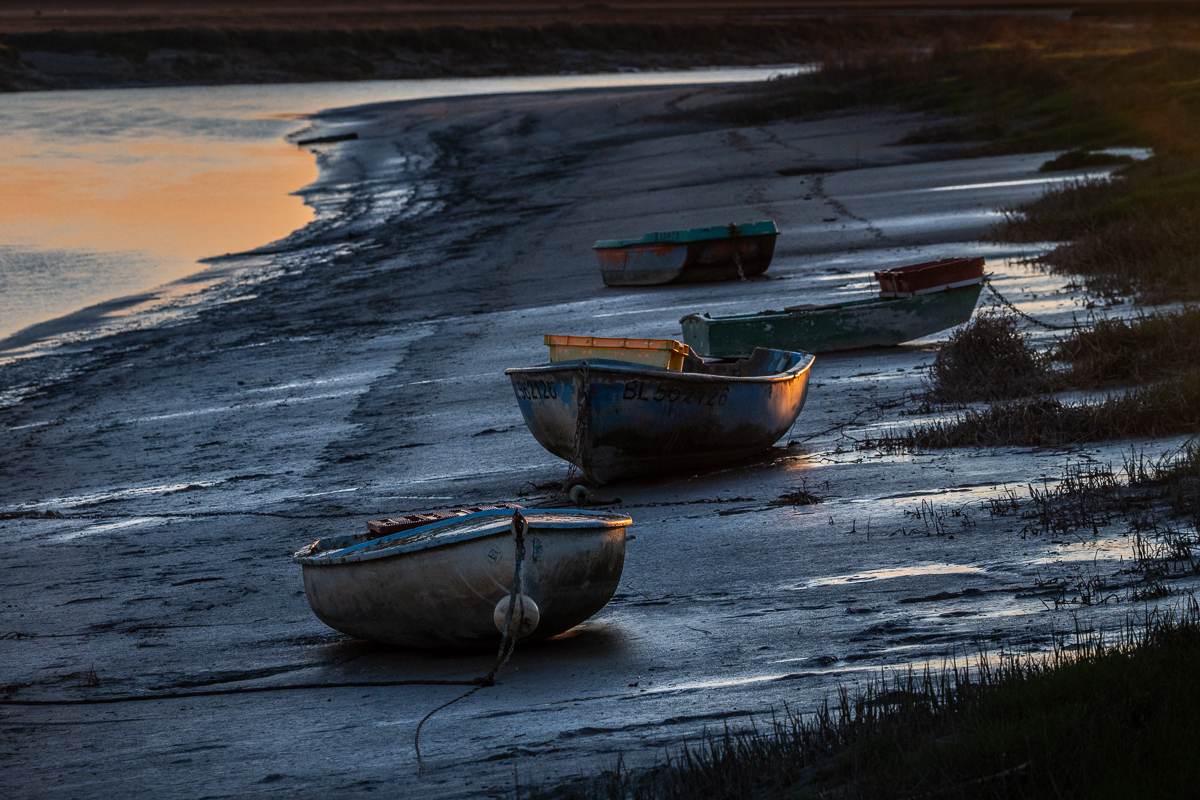 Barques sur les berges de l'Authie au port de la Madelon ( 80)